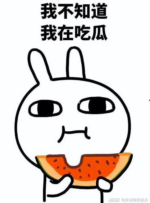 娱乐吃瓜小兔兔微博,揭秘娱乐圈那些吃瓜趣事