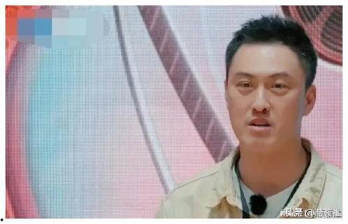 娱乐圈吃瓜神图,明星幕后真相大曝光